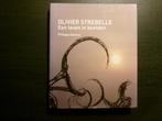 Olivier Strebelle  -Een leven in beelden- Philippe Dasnoy, Livres, Art & Culture | Arts plastiques, Enlèvement ou Envoi