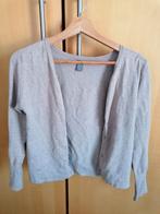 Zara cardigan, Kleding | Dames, Ophalen of Verzenden, Gedragen