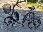 Damius elektrische driewieler, Fietsen en Brommers, Fietsen | Driewielfietsen, Ophalen, Zo goed als nieuw, Évasion Damius