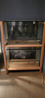 Stelling met 2 terras, Animaux & Accessoires, Reptiles & Amphibiens | Accessoires, Enlèvement, Comme neuf