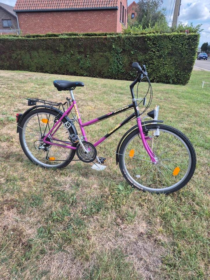 Kalkhoff, Fietsen en Brommers, Fietsen | Vouwfietsen, Zo goed als nieuw, Dames, Ophalen