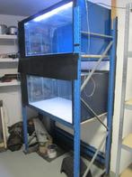 2 Aquariums  + stelling    100€, Dieren en Toebehoren