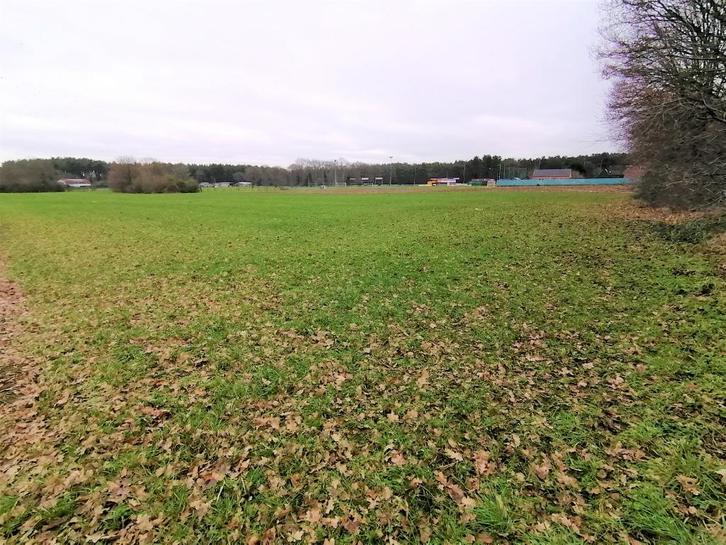 Schitterend gelegen recreatiegrond van 1ha 46a 28ca te koop, Immo, Gronden en Bouwgronden, 1500 m² of meer