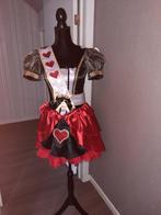 Lot verkleed-/carnavalkleren - pruiken - accessoires, Enlèvement ou Envoi, Taille 42/44 (L), Accessoires