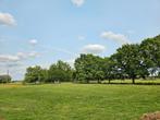 Paddock paradise in Putte (olv waver), Dieren en Toebehoren, Stalling en Weidegang, Weidegang, 4 paarden of pony's of meer