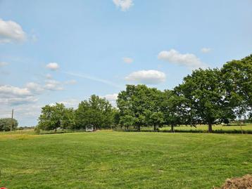 Paddock paradise in Putte (olv waver) beschikbaar voor biedingen