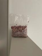 Wild Rose Himalaya Badzout, Ophalen of Verzenden, Zo goed als nieuw