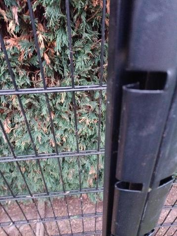 Nieuw groot DOUBLE WIRE omheiningspaneel met lange paal beschikbaar voor biedingen