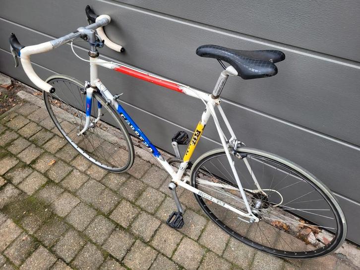 Carrera Gouden Leeuw Racefiets - Klassieke retro racer, Vélos & Vélomoteurs, Vélos | Ancêtres & Oldtimers, Enlèvement