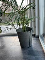 IJzeren gegalvaniseerde grote sierpot Intratuin, Tuin en Terras, Ophalen, Zo goed als nieuw