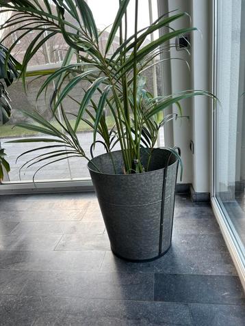 IJzeren gegalvaniseerde grote sierpot Intratuin beschikbaar voor biedingen