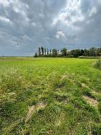 Diverse paardenweide's, Ophalen