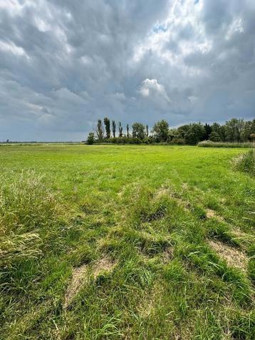 Diverse paardenweide's beschikbaar voor biedingen