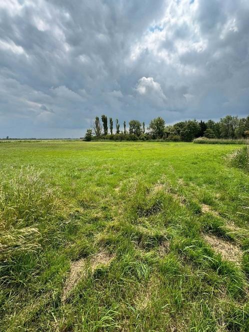 Diverse paardenweide's, Dieren en Toebehoren, Paarden en Pony's | Overige Paardenspullen, Ophalen