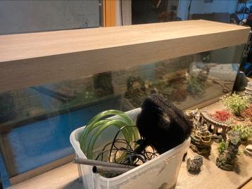 Aquarium beschikbaar voor biedingen