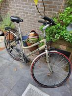 Damesfiets ( koers fiets) Flanders, Ophalen, Zo goed als nieuw, 28 inch, Overige merken