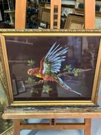 Aziatische schilderkunst op oude papegaaienzijde