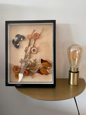 Kader met opgezette vlinders en bloemen beschikbaar voor biedingen