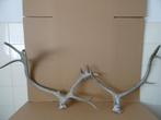 Curiosa groot gewei geweien hertengewei gewei bok hert 59cm, Verzamelen, Ophalen of Verzenden, Gebruikt, Hert, Gewei of Kop