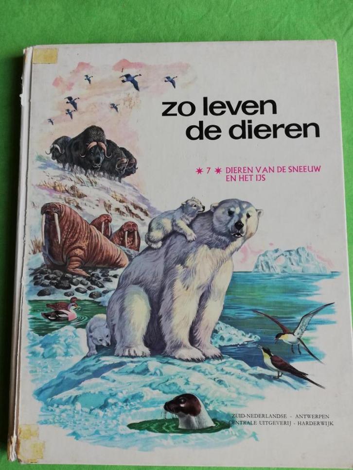 Zo leven de dieren, Dieren van de sneeuw en het ijs, Boeken, Kinderboeken | Jeugd | 10 tot 12 jaar, Gelezen, Non-fictie, Ophalen of Verzenden