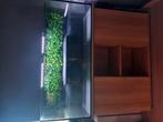 Schildpadaquarium met kast, Dieren en Toebehoren, Ophalen, Zo goed als nieuw, Verlichting