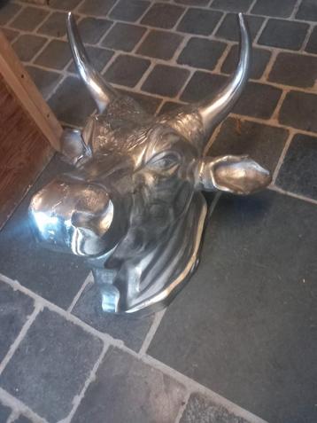 2 prachtige stierekoppen te koop, Enlèvement
