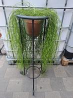 Staander met plant, Huis en Inrichting, Woonaccessoires | Zuilen en Pilaren, Ophalen, Zo goed als nieuw