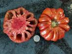 grosse tomate rouge-brun Cornaline plissée - 5 graines, Graine, Printemps, Envoi