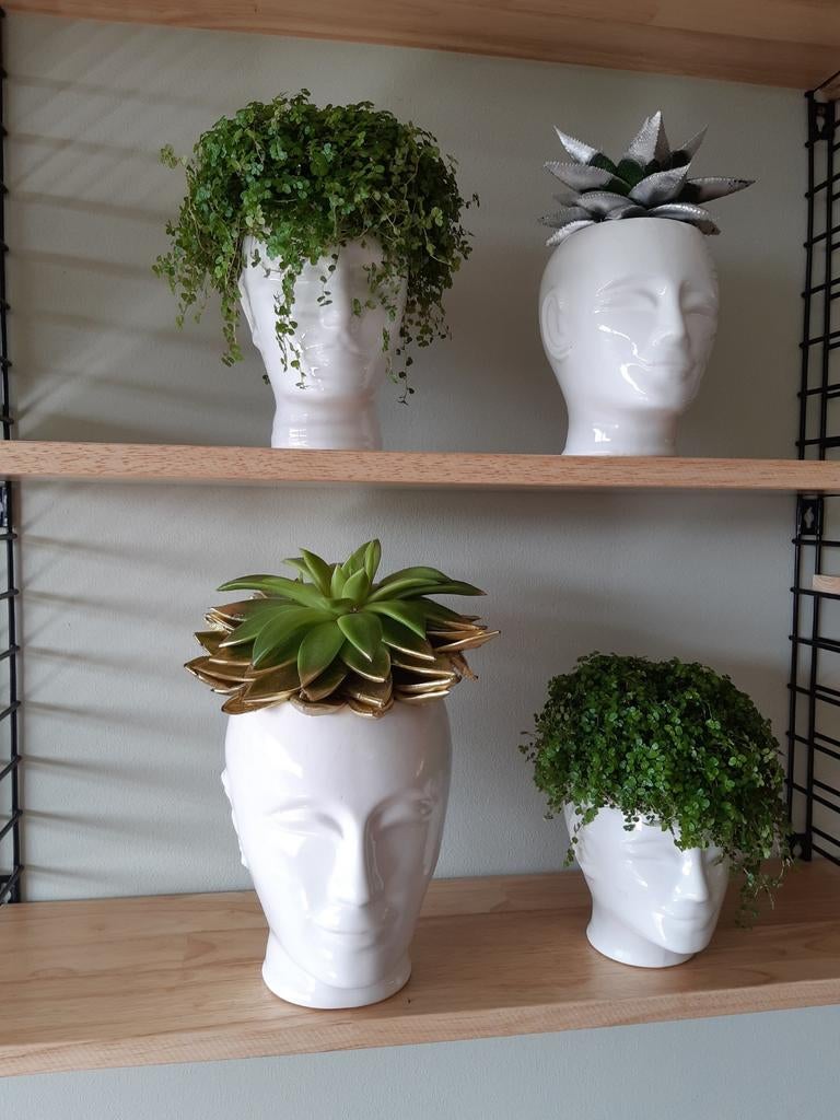 Retro hoofden groot en klein 'jaren 70, Ophalen of Verzenden