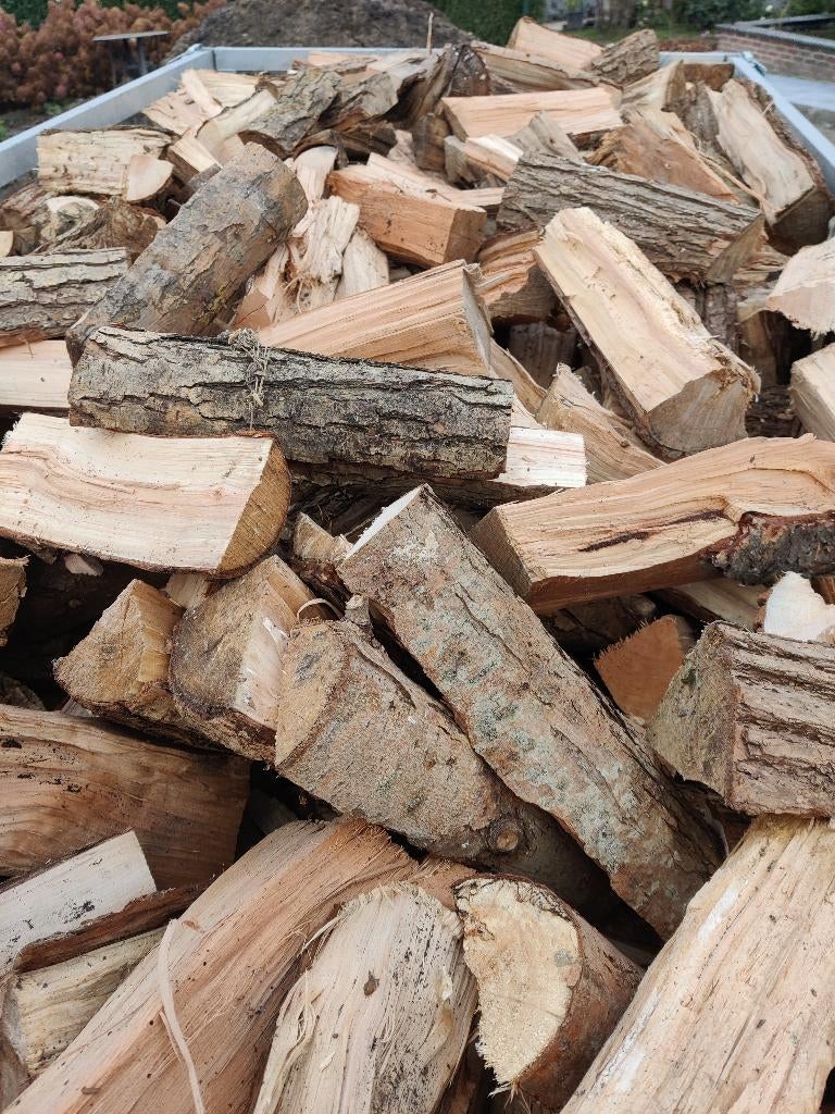 Brandhout van knotwilgen, 3 tot 6 m³, Ophalen, Overige houtsoorten, Blokken