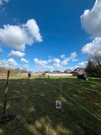 Stalling, Dieren en Toebehoren, Stalling en Weidegang, Weidegang, 4 paarden of pony's of meer