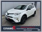 Toyota RAV-4 2.5 Comfort & Black Edition, Auto's, Toyota, Automaat, 161 kW, Euro 6, 2494 cc