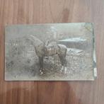 Foto postkaart soldaat op paard, Ophalen of Verzenden