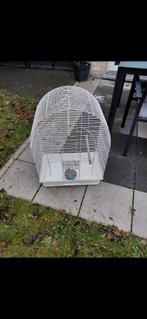 Vogel kooi, Enlèvement