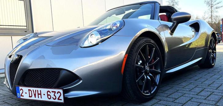 Alfa Romeo 4C 4C 1.7 TBi 241PK *Xenon*Pdc*Leder*19 inch velg, Autos, Alfa Romeo, Entreprise, Achat, 4C, ABS, Airbags, Air conditionné