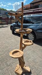 papegaaien - massief teak/ hardhout - 2 m HOOG, Papegaai, Pratend