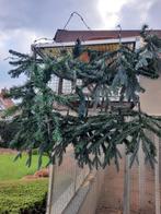 nest bescherming, Dieren en Toebehoren, Ophalen, Nieuw, Kunststof, Volière