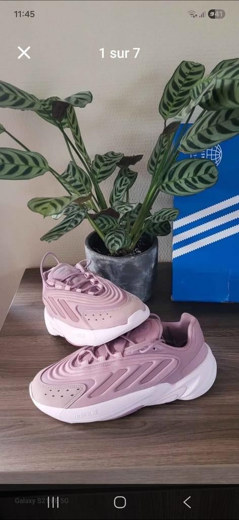 Baskets adidas femme Ozelia neuves, Sports & Fitness, Basket, Enlèvement