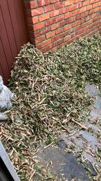 Gratis hakselhout, Tuin en Terras, Ophalen, Nieuw