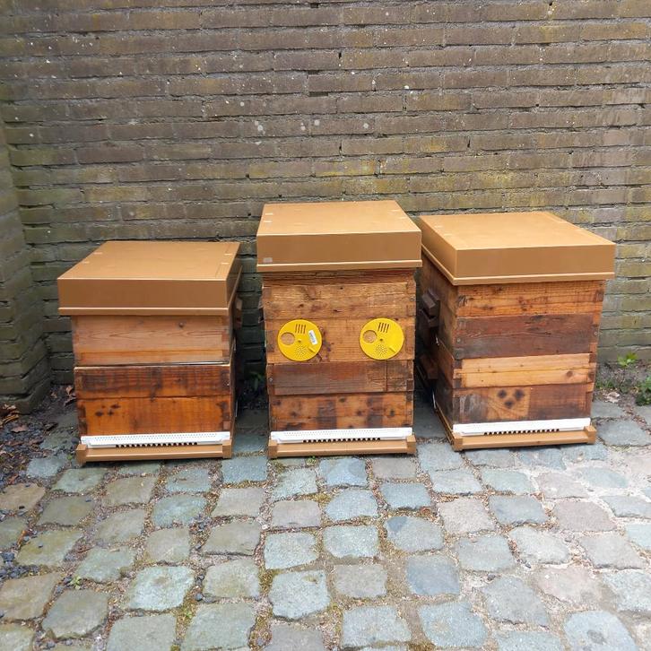 Bijen kasten grenenhout, Dieren en Toebehoren, Insecten en Spinnen, Bijen