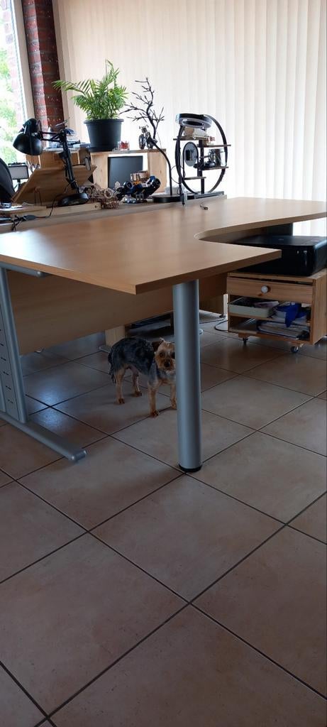 Bureautafel, Ophalen, Zo goed als nieuw