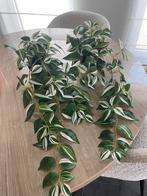 Kunstplantjes te koop, Maison & Meubles, Plantes d'intérieur, Enlèvement