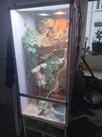 Tekoop terrarium met alles erbij, Dieren en Toebehoren, Reptielen en Amfibieën | Toebehoren, Ophalen