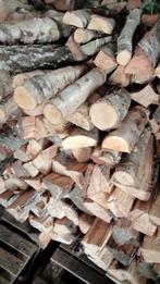 Berkenhout te koop, Enlèvement ou Envoi, Bouleau