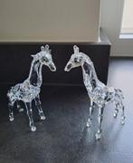 Swarovski, Enlèvement