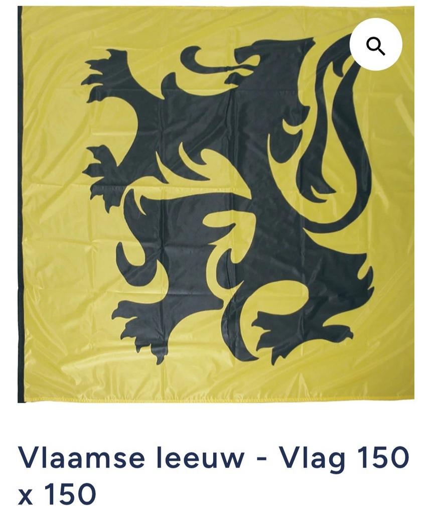 Vlaamse leeuw, Diversen, Vlaggen en Wimpels, Ophalen of Verzenden