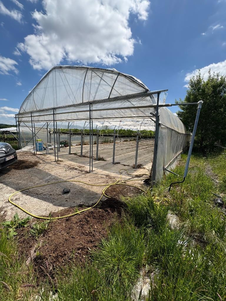 SERRE, Ophalen, Akkerbouwbedrijf