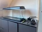 Ciano 80 aquarium, Enlèvement, Comme neuf
