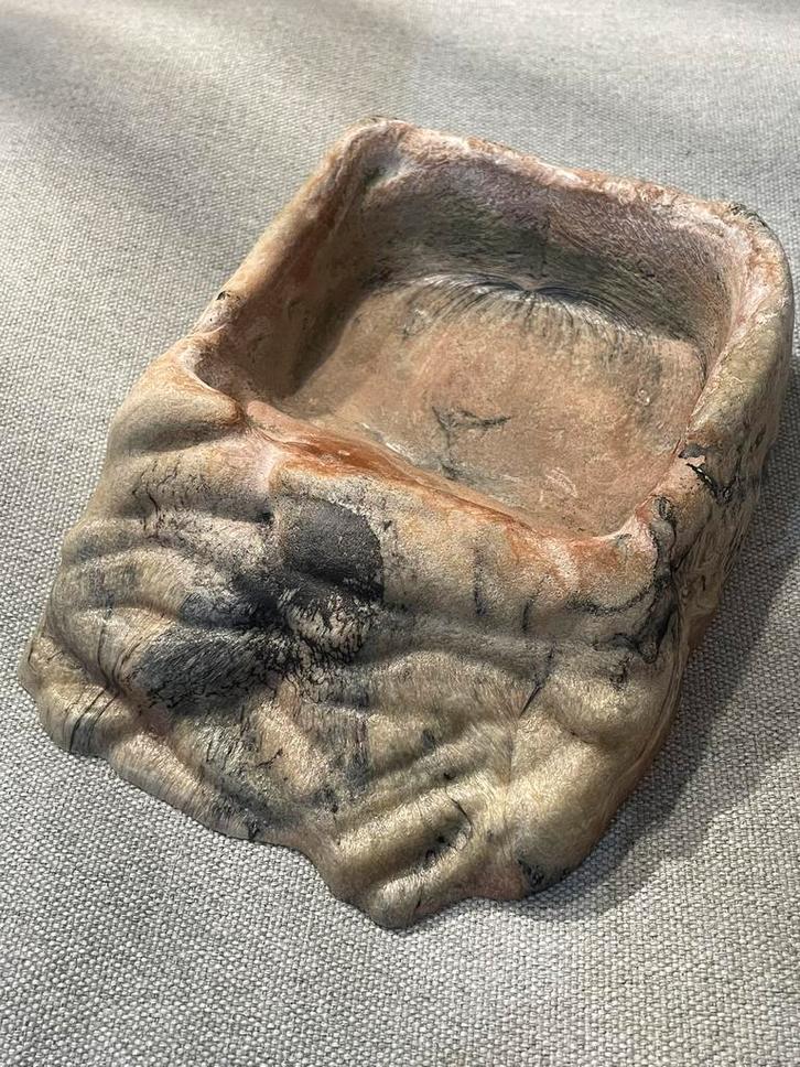 Bol à eau Repti Ramp Bowl avec pente, Animaux & Accessoires, Reptiles & Amphibiens | Accessoires, Comme neuf, Terrarium ou Paludarium