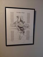 HAMSE WUITEN, Ophalen